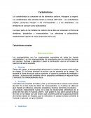 Rutas Metabolicas.
