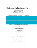 Mapa conceptual expresion oral y escrita.