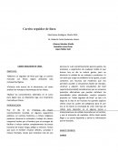 UNA PRACTICA - ROBOT SEGUIDOR DE LINEA.