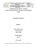 ORGANISMOS TRANSGÉNICOS.