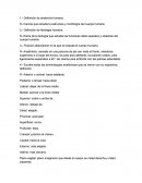 Proceso comunicativo.