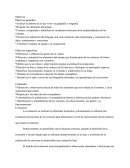 Preparacion y diseño de una excursion.