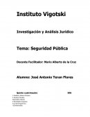 Investigación y Análisis Jurídico. Seguridad publica