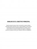 ANALISIS DE EL OBJETIVO PRINCIPAL