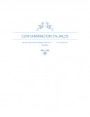 CONTAMINACIÓN EN JALOS.