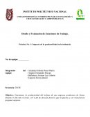 IMPACTO DE LA PRODUCTIVIDAD EN LA INDUSTRIA.