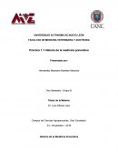 Practica 1.1 Historia de la medicina preventiva