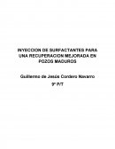 INYECCION DE SURFACTANTES PARA UNA RECUPERACION MEJORADA EN POZOS MADUROS