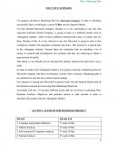 Business proyect analisis mercado.