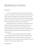 Responsabilidad social en la cultura de reciclaje.