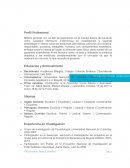 Ejemplo de Perfil Profesional