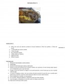 Atlas alimentos pelileo.