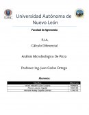 PIa de calculo diferencial en industrias.