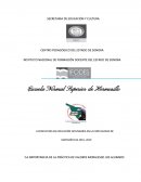 El Proyecto sobre los valores.