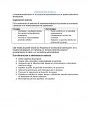 ORGANIZACIÓN MATRICIAL.