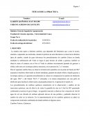 Practica cambios fisicos y quimicos.