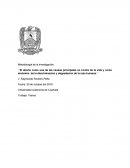 El aborto como una de las causas en contra de los derechos humanos