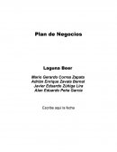 Plan de Negocios. Empresa.