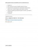 INDICACIONES PARA EL DESARROLLO DE LOS TRABAJOS DE TS.