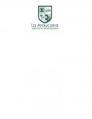 Proyecto de desarrollo sustentable en comunidad Santa Lucia, productora de berries de la comuna de Romeral