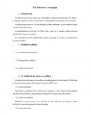 Informe socio ambiental. Tía María en Arequipa