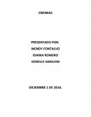 Enzimas. Velocidad de las reacciones químicas en las células vivas