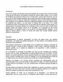 La pornografía, distorsión del pensamiento