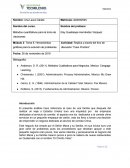 Herramientas gráficas para la solución de problemas.