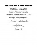 Presentacion Problema social. ANIMALES CALLEJEROS