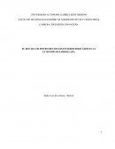 El rol de los instrumentos financieros derivados en la economia desarrollada.