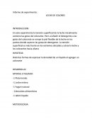 Experimento leche de colores