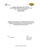 IMPORTANCIA DE CONOCER LOS RIESGOS DE CONSUMO DE LOS ALIMENTOS TRANSGÉNICOS EN LA SALUD HUMANA