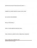 SISTEMA DE ALIMENTACION DE COMBUSTIBLE CARBURADO