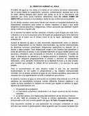 EL DERECHO HUMANO AL AGUA
