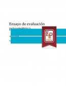Ensayo de evaluación psicométrica.