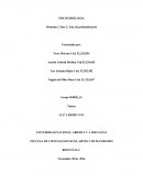 PSICOFISIOLOGIA MOMENTO 2