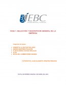 SELECCIÓN Y DESCRIPCION GENERAL DE LA EMPRESA BIMBO