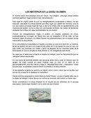 LOS MISTERIOS DE LA DIOSA XILOMEN