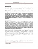 PROYECTO “HARIGUZ S.A DE C.V.”