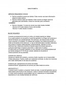 Anatomía. Nervios raquídeos (médula)