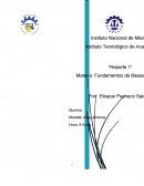 Reporte base de datos