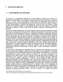 ESTUDIOS DE MERCADO. empresa Productora y comercializadora de Cojines