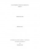 Trabajo colaborativo ESTADÍSTICA DESCRIPTIVA .