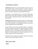 Analisis de la industria. Empresa D’CARROS S de RL de CV