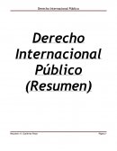 La aplicación de estas nociones al Derecho Internacional Publico