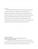 Perspectiva Sociológica.