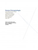 Definición y conceptos básicos (Introducción)