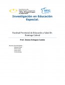Investigación en Educación Especial.