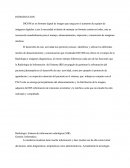 TELESALUD PRACTICA 2