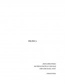 Política, Aristóteles